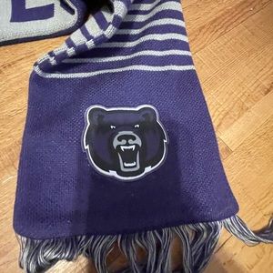 NWT UCA Bears Scarf